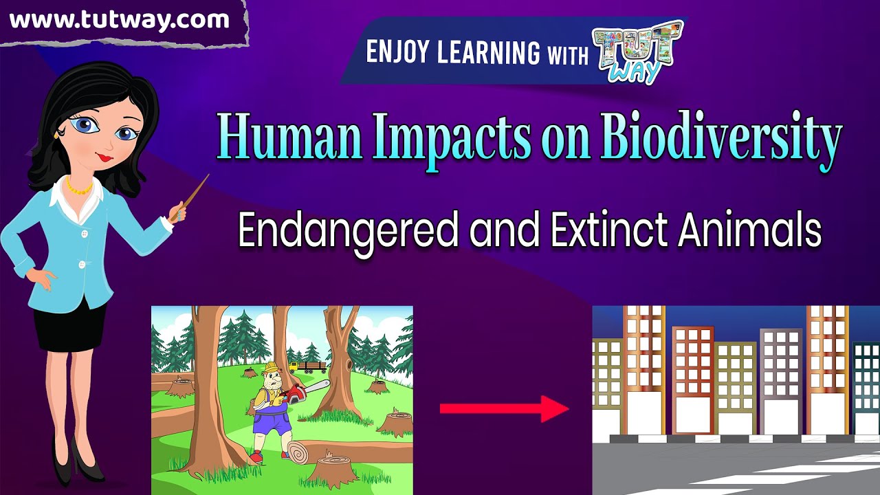 Human Impacts on Biodiversity | Endangered and Extinct Animals | Ecology,  Environment | Science - YouTube