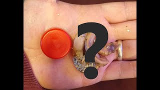 Smallest ballpython in the world!?