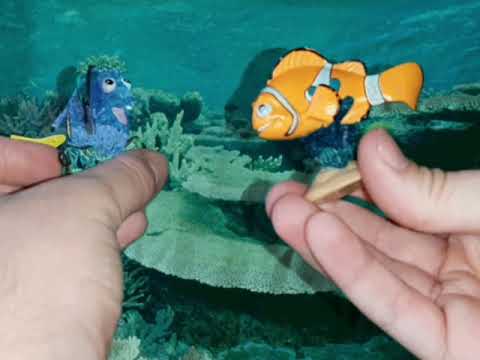 Finding Nemo Live Action Trailer (Amerature Remake)