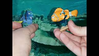 Famous Finding Nemo Live Action Trailer (Amerature Remake) Profile