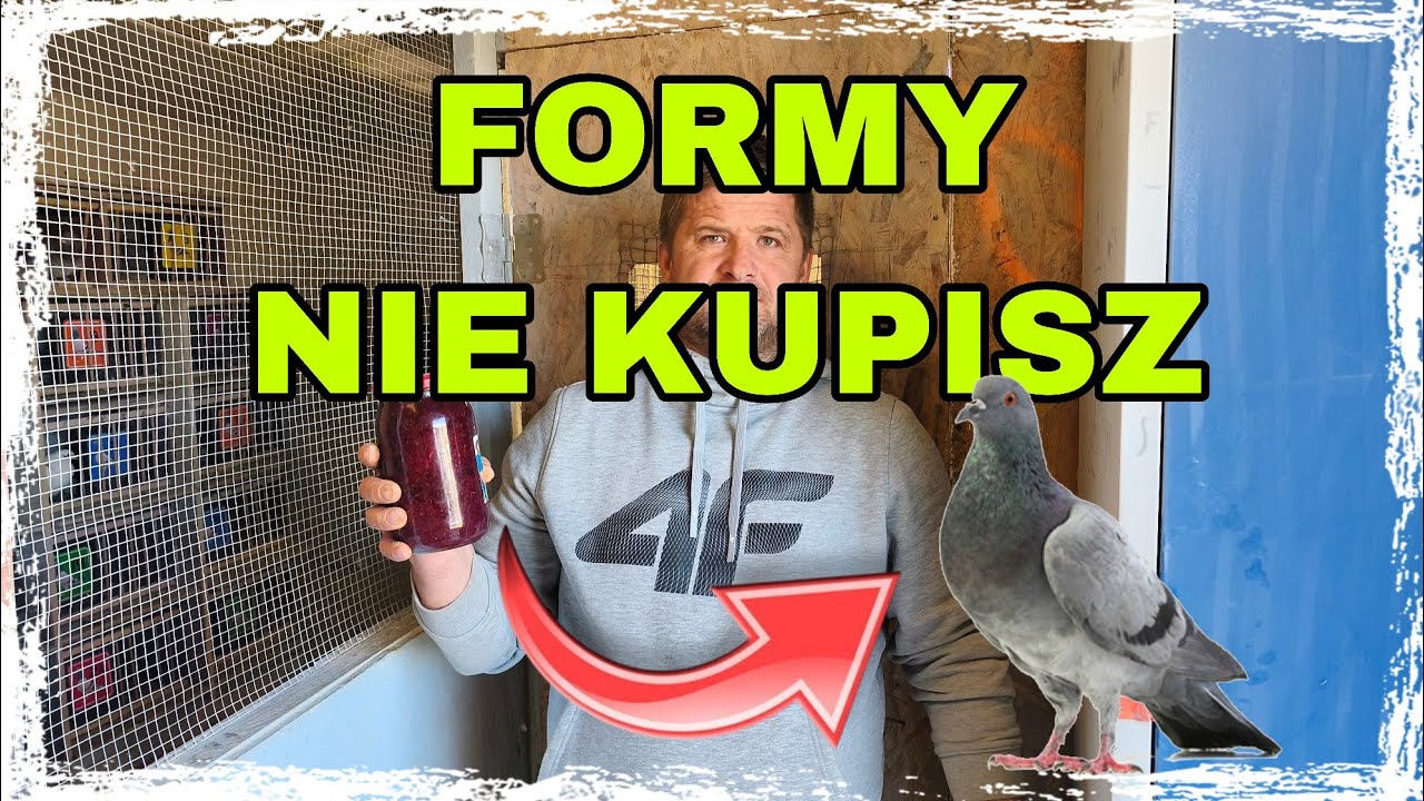 Zadbaj o gołębie przed sezonem. Kurkuma i burak jako naturalny detoks.