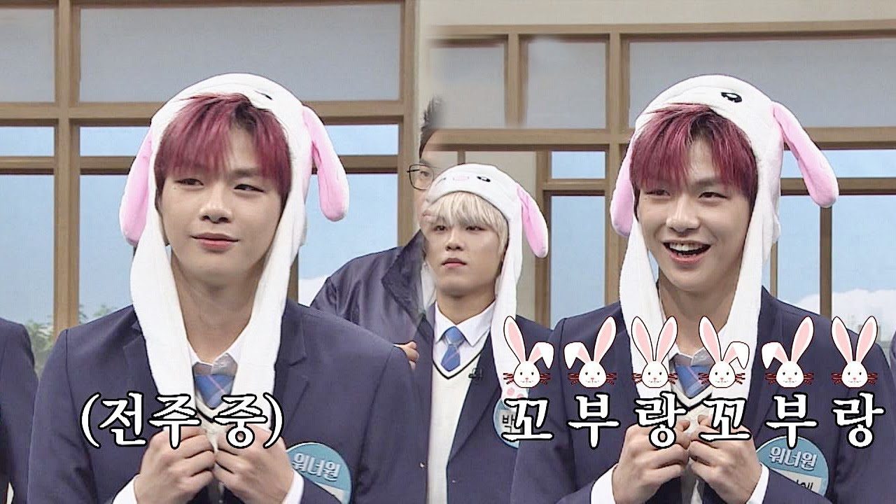 귀염 뽀짝♡ 강다니엘(KANG DANIEL)의 토끼모자 귀 체조↗↘ 아는 형님(Knowing bros) 156회