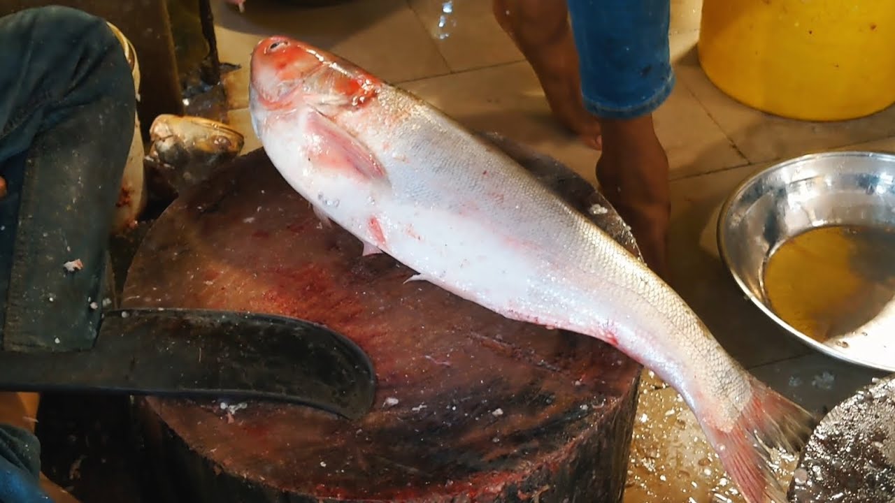 amazing fish fingers cutting l silver fish cutting skills best fishing