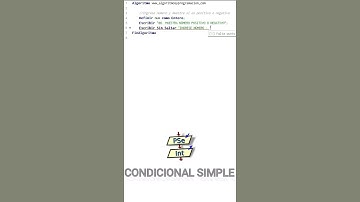 🟡 PSeInt : Hacer un algoritmo que muestre si un número es positivo o negativo en pseint.