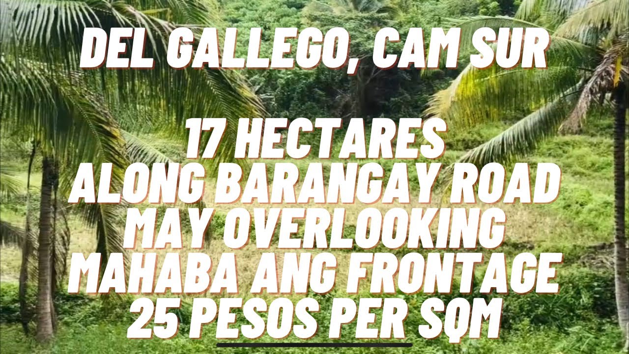 VLOG 109 / DEL GALLEGO CAM SUR/ 17 HECTARES/ MAHABA ANG FRONTAGE/ MAY OVERLOOKING/ 25 PESOS PER SQM