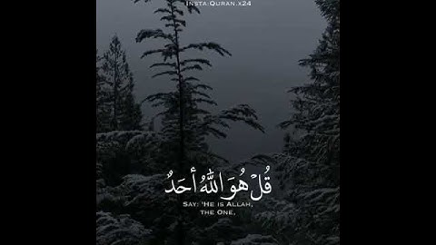سورة الإخلاص للشيخ هزاع البلوشي تلاوة رائعة