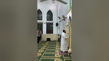 صلاة تراويح ليلة ٢٩رمضان ١٤٤٢هجريه للقارئ عمرو العربي