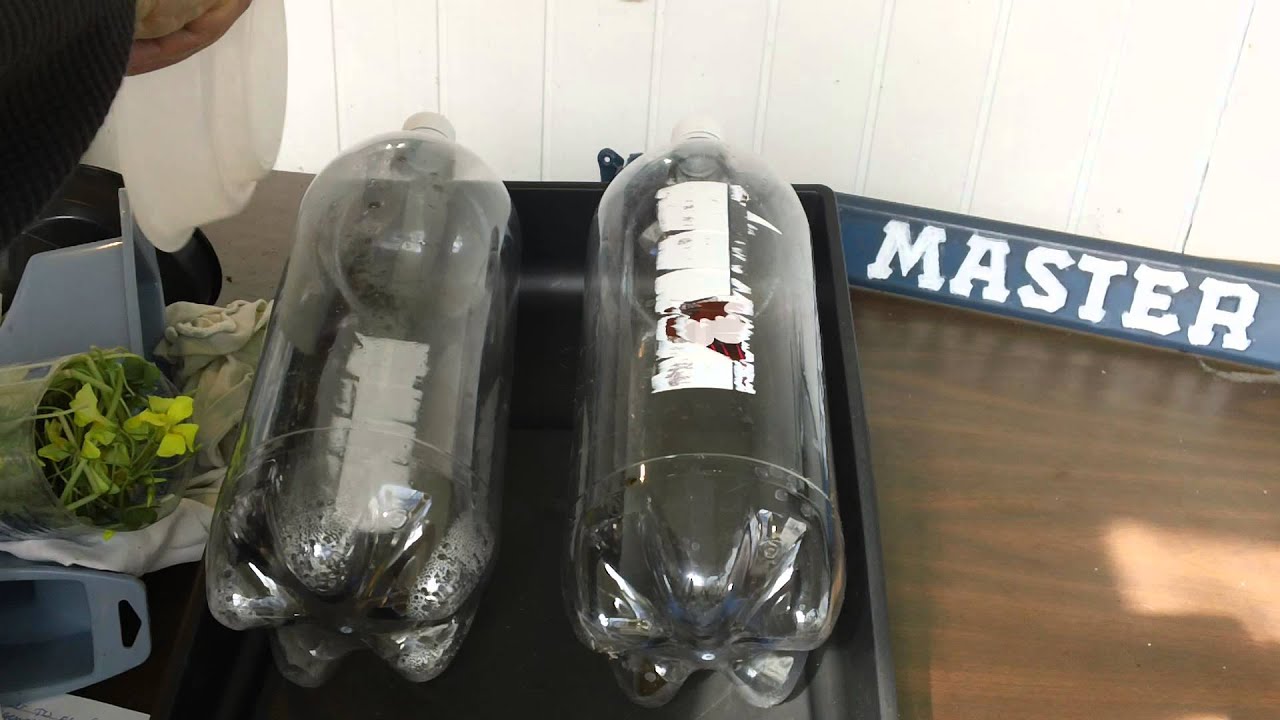 HOW TO PURIFY WATER FOR EMERGENCY PREPPER SURVIVAL - YouTube