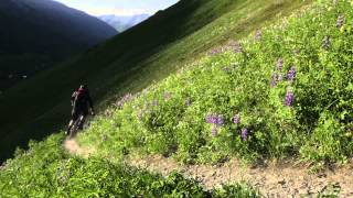 Trail Hunter - Alaska