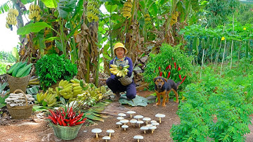Harvest Chili Peppers, Mushrooms, Loofahs, Bananas, And Sweet Leaf Vegetables To Sell At The Market.