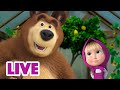 🔴 LIVE STREAM 🎬 Masha and the Bear 🐾 Helping Paw 🤝 New episode 2023 ➡️ Coming on November 17!