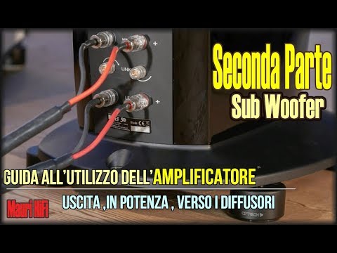 Video: Come si accoppia il mio altoparlante Lynx?