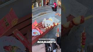 Kiko Membeli Tanghulu 🍓