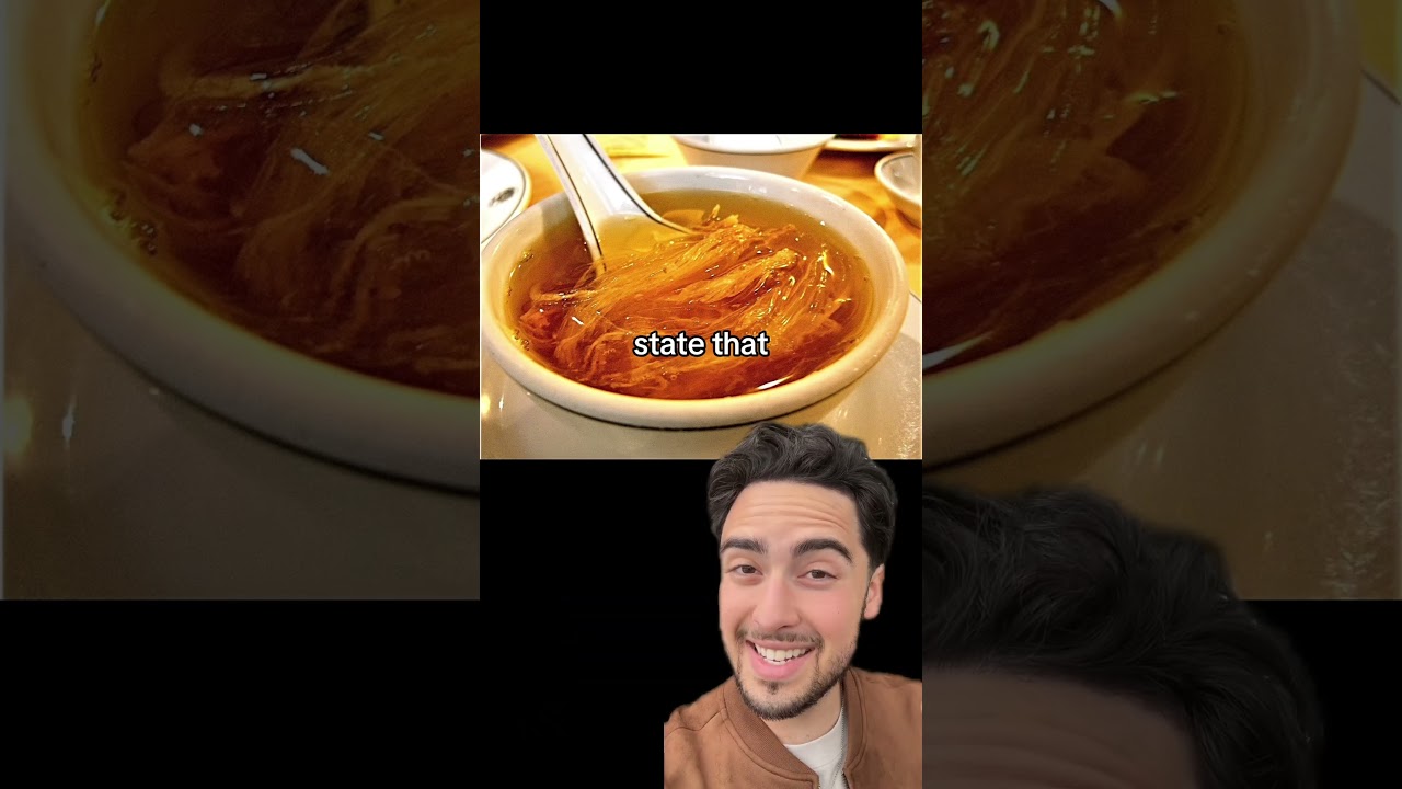 How does the shark fin trade work?