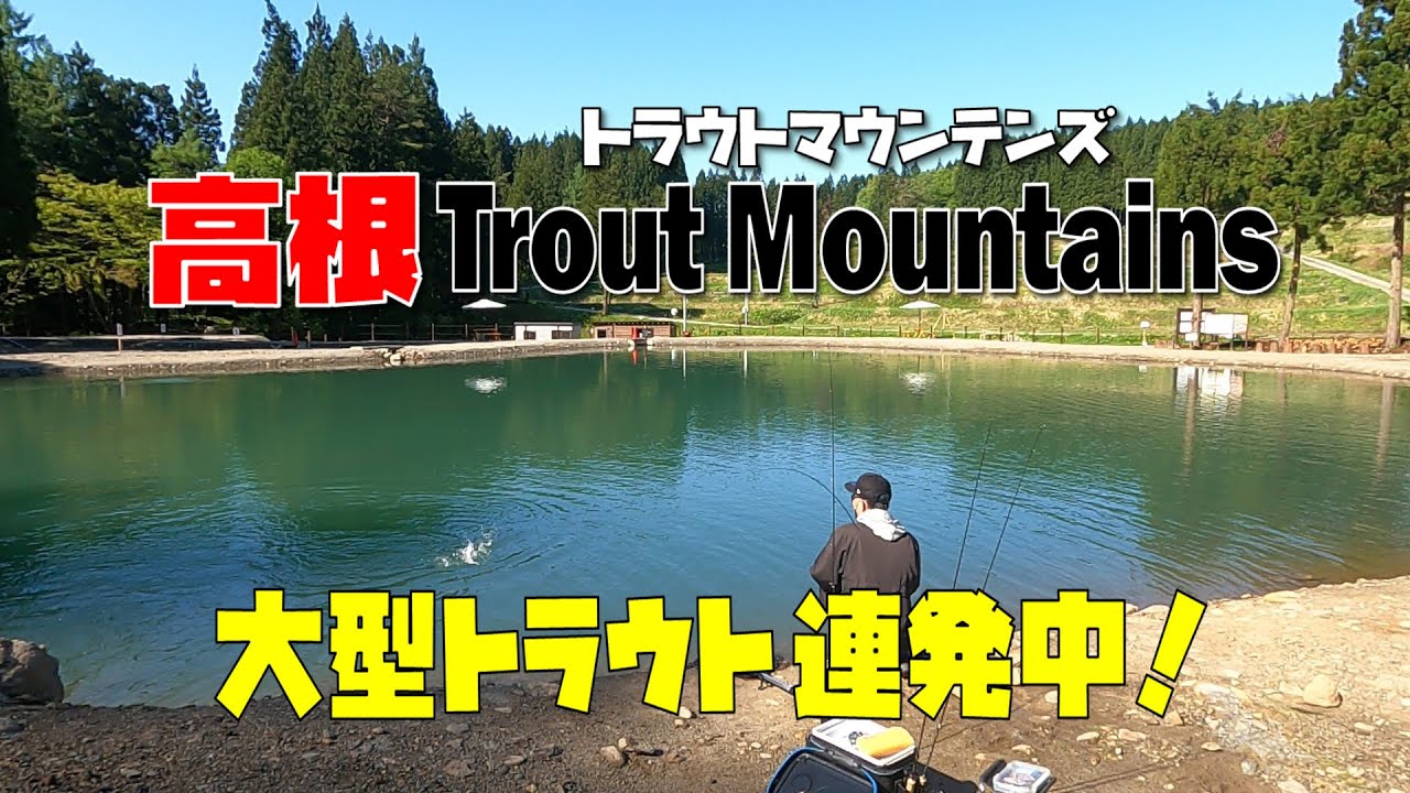 【高根トラウトマウンテンズ】大型トラウト連発！ 前編（スプーン・クランク編）