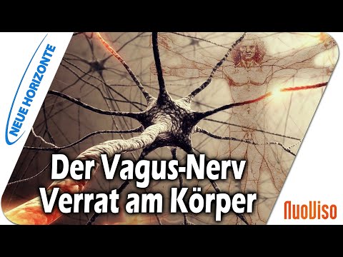 Video: Verrat Am Körper: Wenn Der Körper Den Verstand Verliert