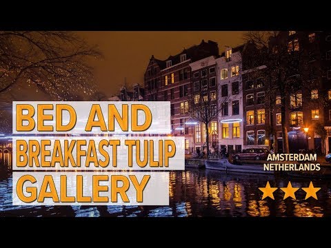 bed and breakfast tulip gallery hotel review hotels in amsterdam netherlands hotels