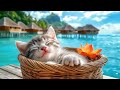 Cat Lullaby for Kittens with Anxiety - Best Lullaby Music for Cats, 12 Hours of Cats' Favorite Music