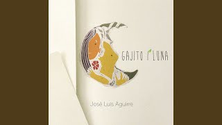 Video thumbnail of "José Luis Aguirre - Peña de la Pirincha"