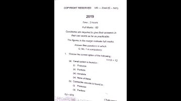 BBMKU B.Sc. Zoology (Hons.) Core- 1 Question Paper