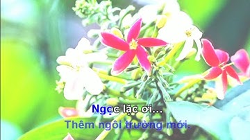 Karaoke Ngọc lặc yêu thương Tone Nữ thấp