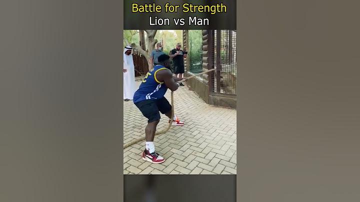 Battle for Strength | Lion vs Man