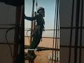 oil field services#oil #gas #oil #oilreserves #trending #trending #memes