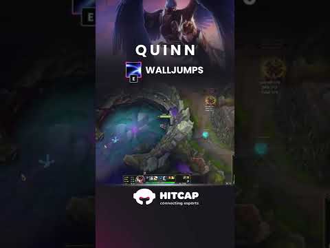 Some tricks to take the best out of your Quinn!