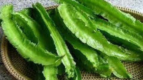 Tự chữa đau dạ dày Tại nhà bằng cây đậu rồng - chữa đau dạ dày bằng đông y hiệu quả cao