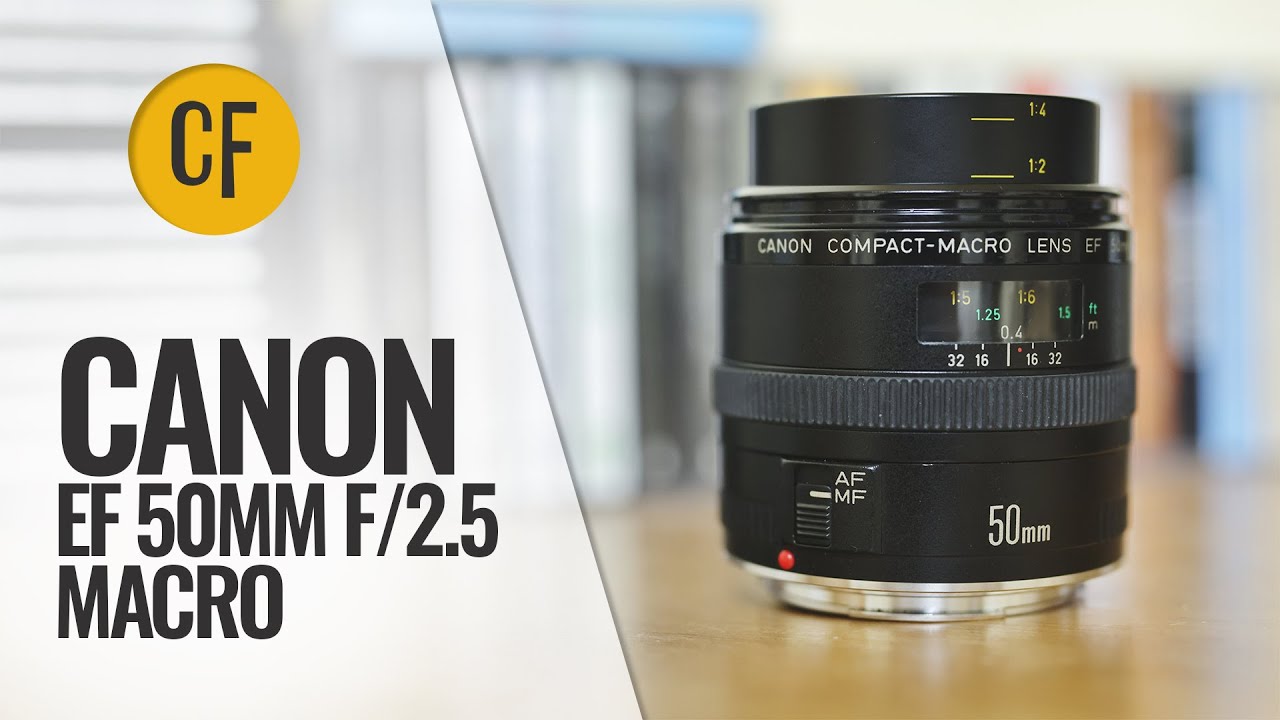 Canon EF 50mm f/2.5 Compact Macro lens review - YouTube