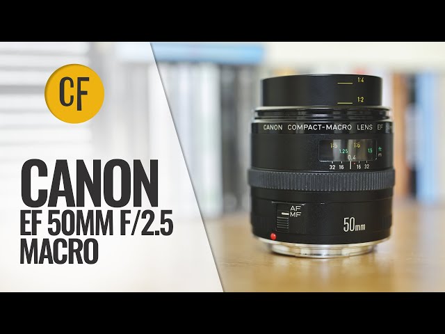 Canon EF 50mm f/2.5 Compact Macro lens review - YouTube