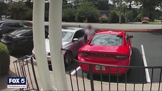 Car break-in caught on camera