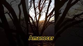 81/100 Amanecer en  la Caseta Forestal  #turismo #mexico #vistashermosas #descubre #naturaleza