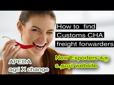 How To Find Customs | Freight Forwarders | APEDA Agri Exchange | New Exporters Must Watch