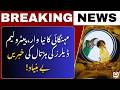 Petrol &amp; Diesel Prices Hiked! Petrol Now Rs 399.86 | OGRA Denies Strike Rumors | AB News
