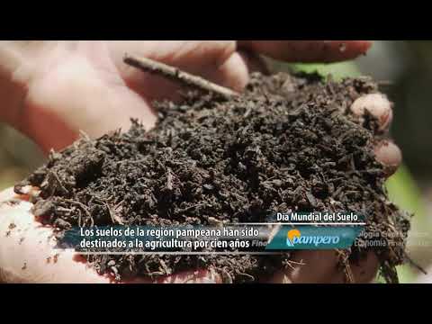 Vídeo: Informació sobre l'agricultura regenerativa: com funciona l'agricultura regenerativa