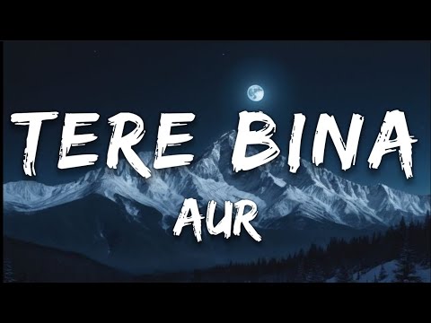 TERE BINA - AUR / LYRICS 