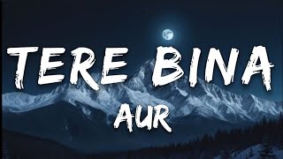 TERE BINA - AUR / LYRICS 