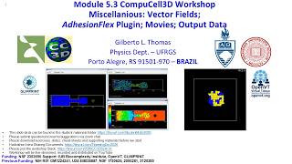 CompuCell3D WS 2026: 5.3: Fields, Adhesion Flex, Movies, Files [Gilberto Thomas] July 31, 2026
