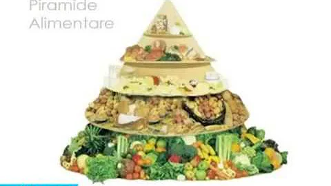 Quale vitamina fa bene ai reni?