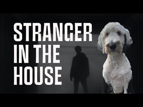 Bunny And The Mysterious Case of The Stranger In The House - Bunny The "Talking" Dog