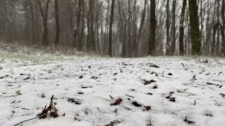 ❄️ 1 Hour of Nordic Ambient Music – Deep Focus & Winter Calm