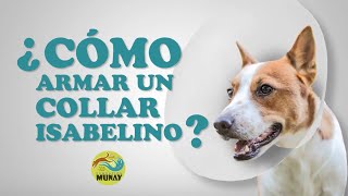 ¿Cómo armar correctamente un collar isabelino? | Fundación Munay