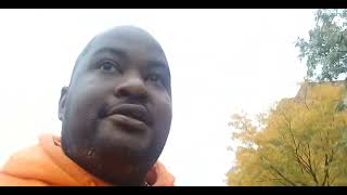 Reporter Reviewing 34th Avenue Open street