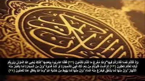 سورة البقره من الآية 72 - 74 . مكرره 3 مرات للحفظ