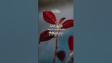 الشيخ سيد سعيد تلاوة رائعة #قران_كريم #القران_الكريم #اكسبلور #لايك #quran #سيد_سعيد