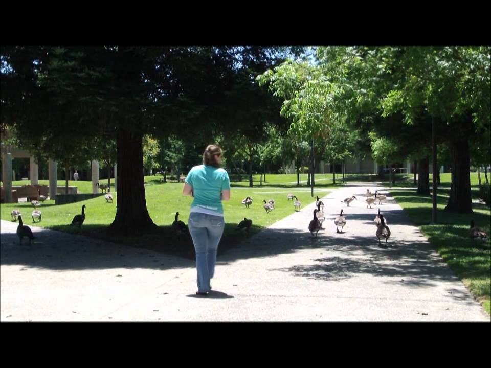 CSU Stanislaus Housing Campus Survival Guide YouTube