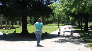 CSU Stanislaus Housing - Campus Survival Guide