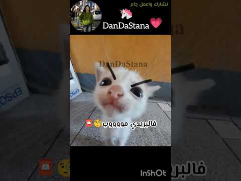 اه ياطلابة ماكي غاياااا اكسبلور  اشتراك تصميمي لايك