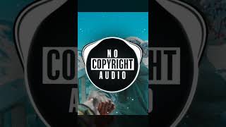 Culture Code - Make Me Move Feat. Karra No Copyright Audio
